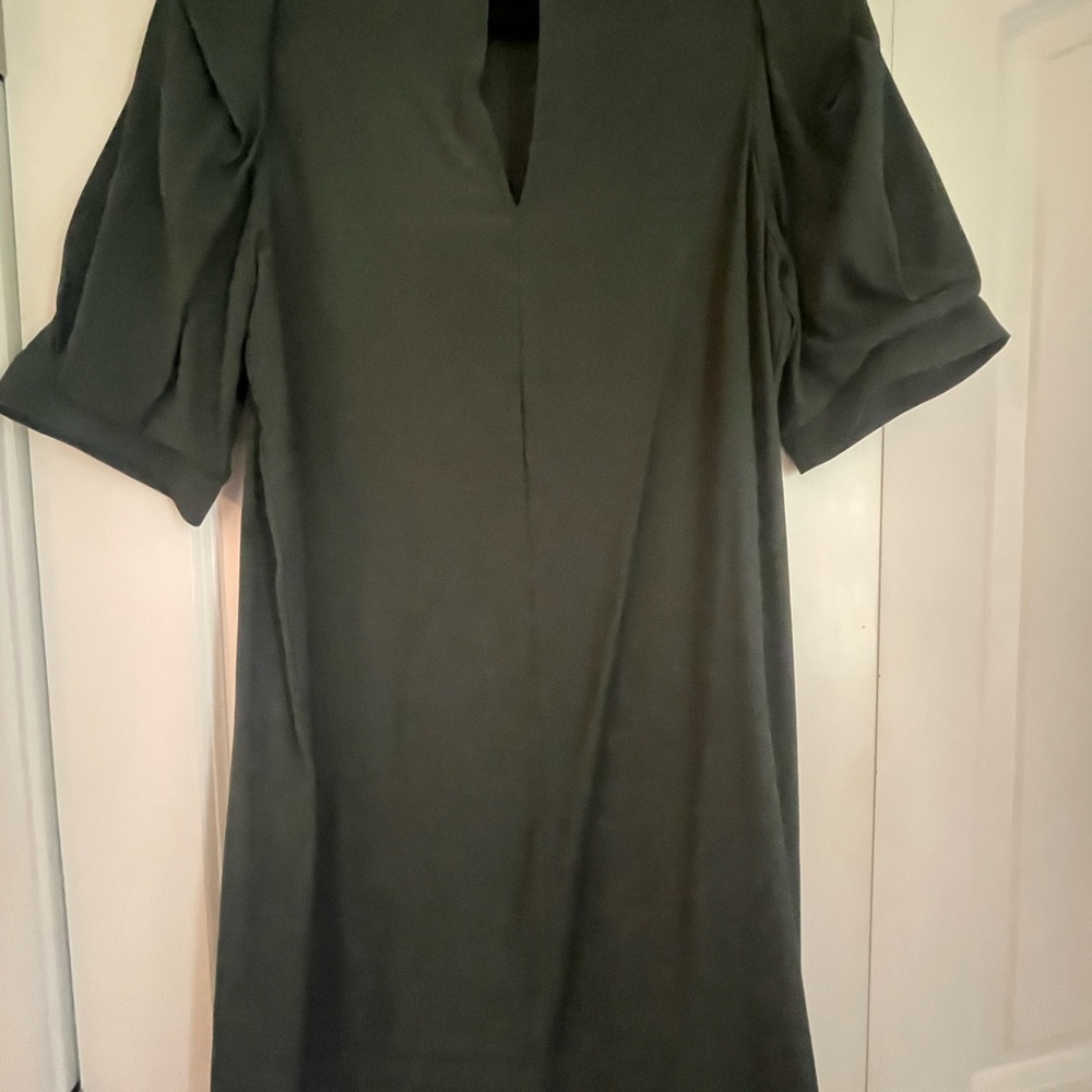 Zara Medium Olive Green Swing Dress